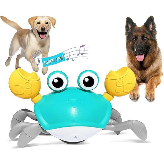 Crawling Crab Dog Toy – Interactive Pet Toy with Music, Lights & Obstacle Sensor | Fun Gift for Puppies, Small & Medium Dogs